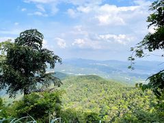 -广州市帽峰山景区