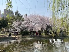 -堤角公园