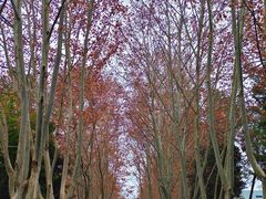 -浙江大学(玉泉校区)