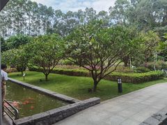 -南宁荔园维景国际酒店·荔园中餐厅