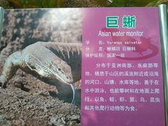 -广东茂名森林公园