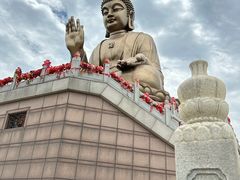 -龙口南山旅游景区