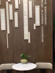 -加减美医美连锁品牌