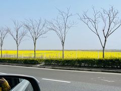 -春花秋色城市公园