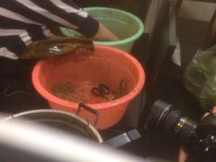 -金太粽(上海弄堂第一粽店)