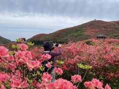 -大围山国家森林公园