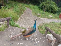 -南湾湖
