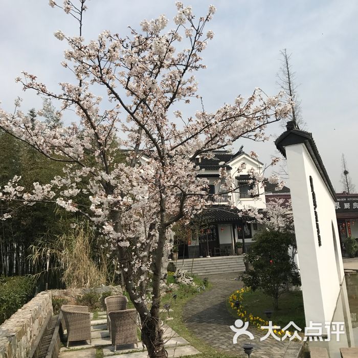 乡根东林渡