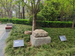 -木塔寺遗址生态公园