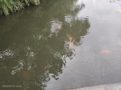 -西湖游船