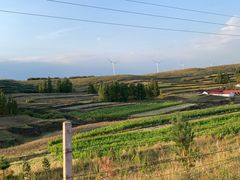 -草原天路(张北县)