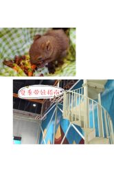 -Mr·Kuma酷么先生雪之乐园