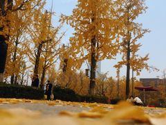 -两江幸福广场
