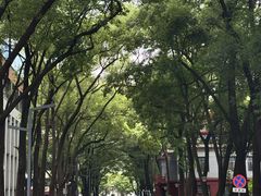 -四川大学(望江校区)