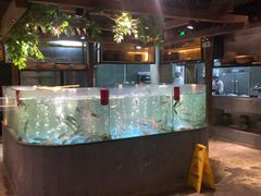 水产区-丹江渔村(首都机场店)