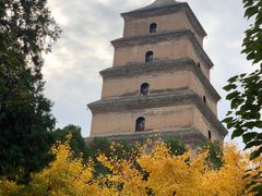 -大雁塔北广场音乐喷泉