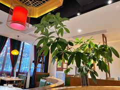 -大鸽饭(马王堆店)