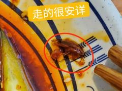 -陇上秦轩biangbiang面(萧山万象汇店)