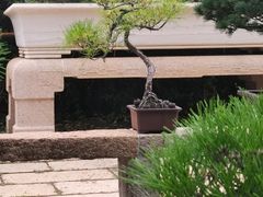 -拙政园
