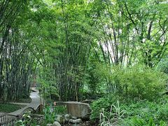 景点-望江楼公园