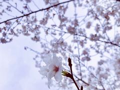 -漕湖湿地公园