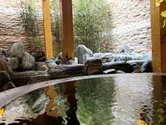 -汤里来温泉