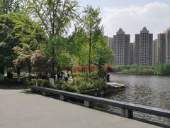 -成都南湖公园