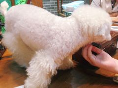 -伽利略剧本探案馆(国贸店)