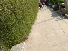 -教师之家赵家羊汤馆(东青龙街店)