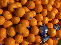 -地利生鲜(万科明天广场店)