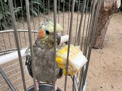 -南宫五洲植物乐园