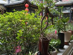 -北园酒家(小北路店)