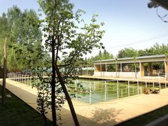 -午后庭院