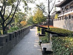 -小湾茶楼