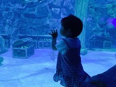 -芜湖新华联大白鲸海洋公园