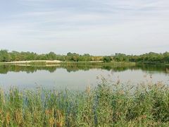 -东郊湿地公园