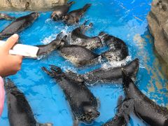 -华夏文旅海洋公园