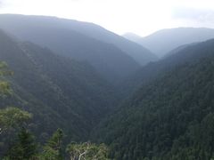 -凤凰山国家森林公园