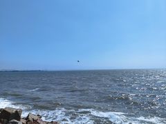 -辽宁团山国家级海洋公园