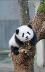 -Return·蕾特恩祛痘·皮肤管理中心