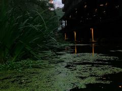-Local泰莲庭(虹鳟鱼店)