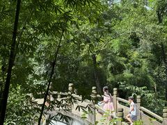 -峨眉山报国寺