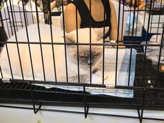 -万达广场(合肥包河店)