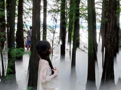 -东湖落雁景区