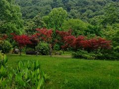 -黄公望隐居地