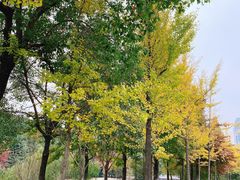 -江南大学(蠡湖校区)
