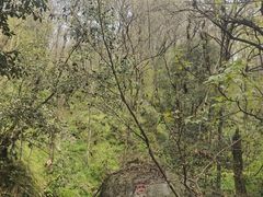 -波尔登森林公园