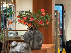 -小豆海棠(人民南路店)