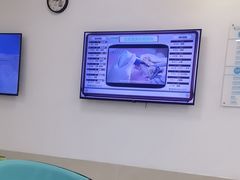 -北京观赏动物医院·24小时大型综合·猫专科·异宠专科