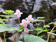 -龙门涧景区